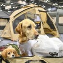 이투축산 이미지