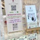 팡팡뽑기방 | 2025 궁디팡팡 캣페스타 일산 킨텍스 34th | 주차 꿀팁 할인정보 다묘집사의 추천템