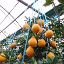 정인농장 이미지