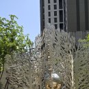 은광약국 이미지