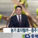 효자로R 이미지