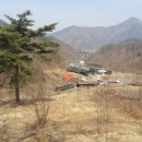상주골안곶감농원