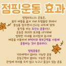 JJ점핑다이어트 - 화성시 | JJ점핑다이어트