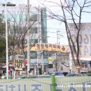 고엔참치 이미지