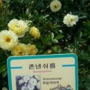 꽃;들때 이미지