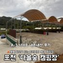 포천 캠핑장 추천ㅣ애견동반 캠핑장 다올숲 A-3 사이트 내돈내산 후기