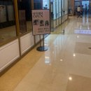 정착 | 뿌리염색만 했는데 분위기가 달라졌어요! 교대역 정착헤어 후기