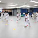 일동태권도장 | 태권도를 전문적으로 가르치는 성호태권도장