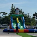 대천게임월드 | 2025 보령 머드축제 후기 준비물 기본정보 기간 공연 라인업