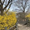 응봉개나리어린이공원 이미지