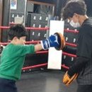 빠바복싱 이미지