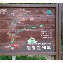 나무샘
