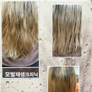헤어톡 - 부평구 | 헤어톡