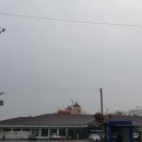 동해항국제여객선터미널 이미지