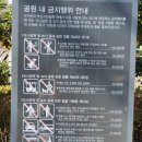 은빛마을(5722) (옥외1) | 부산 가족 나들이&amp; 데이트 하기 좋은 부산시민공원