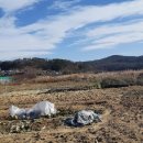 포항시남구4 이미지