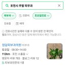 정담피부과의원 티스토리