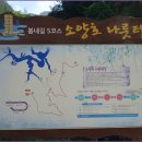 산빛민박 Daum카페