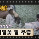 [TV문학관] 58화 메밀꽃 필 무렵 | (1982/09/25) 이미지