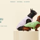 시대광고기획 이미지