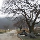 걷기여행- [전북순창/임실] 장구목섬진강길 (진메마을~구담마을~장구목) 약 8.5Km 이미지