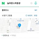 늘푸른스파동광