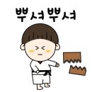 용인대월드태권도장 이미지