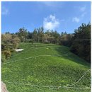 펜션 울릉도 이미지