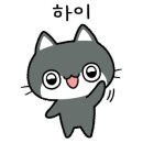 고양이미용 캣어스 이미지