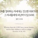 생명의 그물 2 이미지