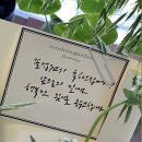 모드니가든 - 남양주시 다산중앙로123번길 21-7 | 모드니가든