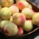 금당농장 이미지