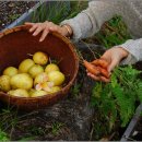 자연치유약국 이미지