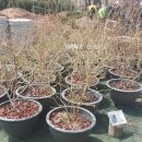 파주시산림조합 이미지