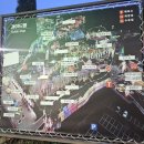 포동이농장 | 청도 프로방스 빛축제 할인 꿀팁 28개월 아기랑 방문후기