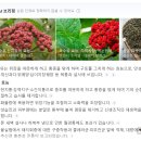 교선한의원 이미지