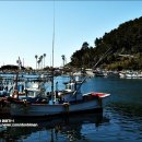 천지연로 이미지