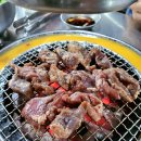 마포갈매기서 이미지