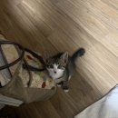 노아메디컬(주) | 어떤 삶이, 소중하지 않다고 말할 수 있을까