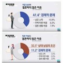주갤러의 혼인, 출산율 원인분석 이미지