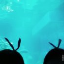 BIFF 게스트하우스 이미지