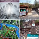 (주)나이스관광 이미지