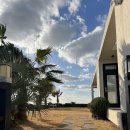 흰고래 숨비 이미지