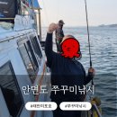 태안호스릴-53 | 태안쭈꾸미낚시 철 안면도 미포호 배낚시 후기