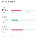 휘트니스퀸 이미지