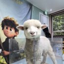 새싹🐑쥬니멀🐢(이찬,이담,현빈,우진) 이미지