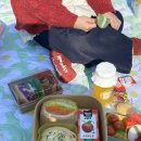 햇살도시락 | 대구 샌드위치 도시락 추천 샌드선샤인 죽전점 피크닉 후기