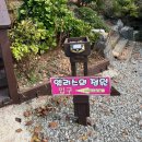 엘리스의 정원 | 꽃지해수욕장 근처 태안/안면도 해루질펜션 #엘리스의정원 펜션
