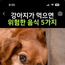 무친 나 강아지 구운고기 주면 안되는거 지금 알았어… 이미지