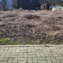 장안읍반룡리-80 이미지